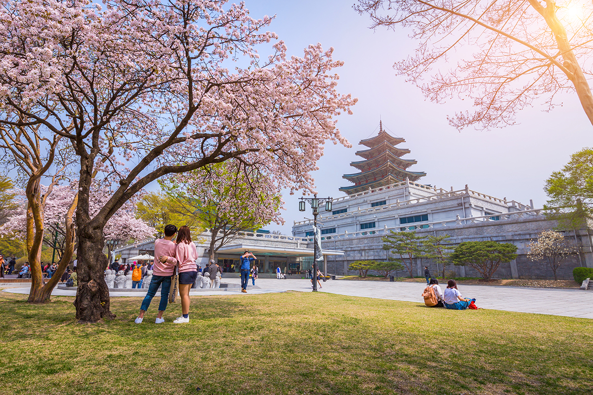 Chi Phí Du Học Hàn Quốc 2025